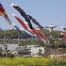 〈王寺町〉河川敷に泳ぐ60匹の鯉のぼり『大和川ふれあい広場』（4/8～5/29）