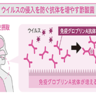 病気のリスクから身を守