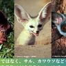 ペットと野生動物、人はどう共生していけばいいのか？