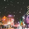 【札幌】雪降る街は美しい　絶景とは、自然で作られるものばかりではない／雪景色の写真13枚