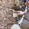 荻野運動公園　足元に春芽吹く　野草園で特別開園
