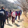 観光ボランティアと歩く　矢倉沢往還ハイキング