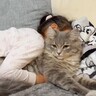 娘にギュッとハグされたまま寝られてしまった猫→次の瞬間…『まさかの光景』に笑顔になる人続出「はぁ〜幸せｗ」「癒された」の声