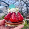 地元で大人気のパティスリー。午前で売り切れてしまうカヌレや季節限定の絶品タルトも！｜鳥取県岩美町