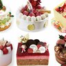 【12/3(日)締切】人気パティスリー35店のクリスマスケーキが53名に当たる！プレゼント企画開催中