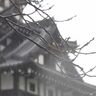 あす夕方にかけて山沿い降雪最大70センチ