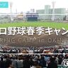プロ野球沖縄春季キャンプ到来！2025年沖縄入りする9球団「日程・選手・試合・会場」など情報まとめ