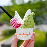 アナウンサーからジェラート職人へ！山間の町に誕生した行列のできるジェラート店｜鳥取県南部町
