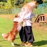 『だめー！』犬の飼い主が"他の犬を抱っこした"結果…どうしても許せず嫉妬する姿が28万再生「ヤキモチ炸裂ｗ」「ママは貸せないよね」