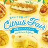 【阪急ベーカリー】「爽やかで甘酸っぱい。初夏のシトラスフェア」で新作6種類の食べ比べを！