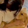 膝に乗ってきた『34kgの大型犬』→まるで赤ちゃんのように…自分の大きさがわかっていない光景が尊いと128万再生「最高の癒し」と悶絶の声