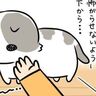 撫でられる日を夢見て。怖がりな愛猫が教えてくれた、愛情の育て方【猫マンガ】もふもふスコたん