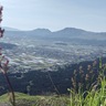 「次の世代に手渡したい景色」阿蘇、5月——ゴールデンウィークの朝【熊本県阿蘇市】