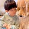 男の子がみかんを食べていたら、大型犬がジッと見つめて…悶絶級の『尊すぎる対応』が226万再生「本当の兄弟のよう」「優しくて感動した」