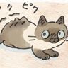 猫の防衛本能？