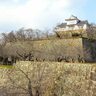 日本一高いお城の石垣ってどこ？【超入門！お城セミナー】