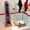 太古の歴史詰まった「鉱物展」　上越科学館で1月28日まで　発掘体験も好評