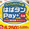 来週より申込開始に！「はばタンPay＋」第4弾『子育て応援枠』の詳細が決定。妊娠中の方も対象