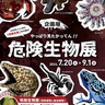 怖いけど気になる…せっかくならじっくり観察する⁉　姫路市立水族館　企画展「やっぱり見たかってん！！危険生物展」開催