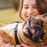 犬を『甘えん坊』に育てる方法はあるの？愛犬の性格を左右する注意すべき行動まで
