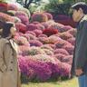 赤ちゃんと映画を楽しもう！札幌でママ＆パパが安心して楽しめる上映会【2025年5月版】