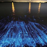 【淡路島】青い光が幻想的！神秘的な「世界初の海ホタルショー」開催