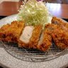 最高級黒豚！赤レンガテラスの「黒豚とんかつ