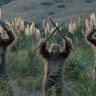 「オイオイ死ぬわアイツ」超危険生物×巨大猿人“命がけ対決”の勝者は？『サスカッチ・サンセット』本編映像