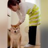 絶対に冷蔵庫の前から動かない犬→必死の交渉を重ねた結果…『まさかの結末』が微笑ましいと15万再生「原状回復してて草」「可愛すぎｗｗ」の声