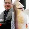 【船釣り釣果速報】大分沖で2kg超え大型シロアマダイが浮上（大分・熊本）