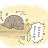 動物の世界では目が合うこと＝好意ではない!?【猫エッセイ】交通事故にあった猫を拾いました