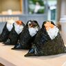 【宍粟】「HAGAKONIGIRI」波賀の米で握るおにぎり専門店♪変化球を加えた具材が魅力