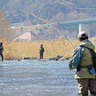 中津川　渓流釣り、シーズン到来　漁協関係者がヤマメ放流