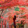 岡山の穴場紅葉スポット！絶景写真が撮れる「龍泉寺」（岡山市）