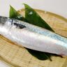 縄文時代から続く「サバ食文化」　サバが食卓のレギュラー食材になるまで