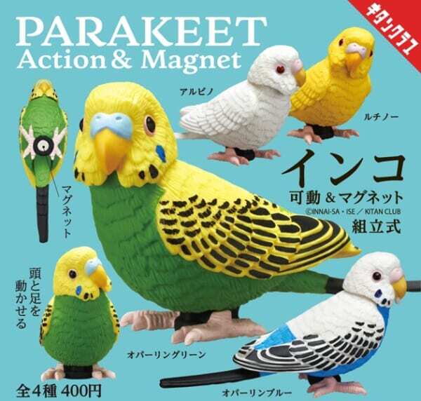 カプセルトイ「インコ 可動＆マグネット」発売！BIGサイズで頭も