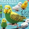 カプセルトイ「インコ