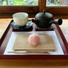 池下｜まるで京都気分♩日本庭園に癒される、数寄屋建築の和カフェ