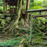 宇治田原に「青春（アオハル）神社」という名の神社が！神秘的な雰囲気が素敵【京都府宇治田原町】