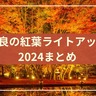 お見逃しなく！奈良の紅葉ライトアップまとめ【2024年版】