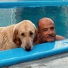 プールに飛び込んだ男性を「今、助けるからね」と勘違いした犬（ブラジル）