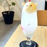 御器所｜暑い季節には仲間が増える！？“クマ”がいっぱいのカフェで夏限定のクリームソーダ