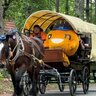 サウナ！馬車！大自然！北海道でキャンプだ！「ここキャン北海道」①中札内村をリポート！