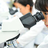 【サマースクール2025年度版】夏休み限定おすすめ体験学習！「海の生き物調査」「顕微鏡づくり」「陶芸体験」