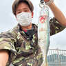 再解放された人気釣り場『敦賀新港』でのルアー釣りで大型サバにアジをキャッチ【福井】