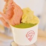 〈奈良市〉奈良の旬をイタリア仕込みのジェラートで（GELATERIA