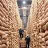 「備蓄米」はいつから手に入る？値段や味はどうなの？【備蓄米の疑問Q&A】