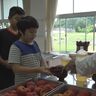 規格外をおいしく！