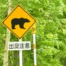 過去最多のペースでクマ出没　10月からの3か月は特に注意　静岡県がマップ掲載