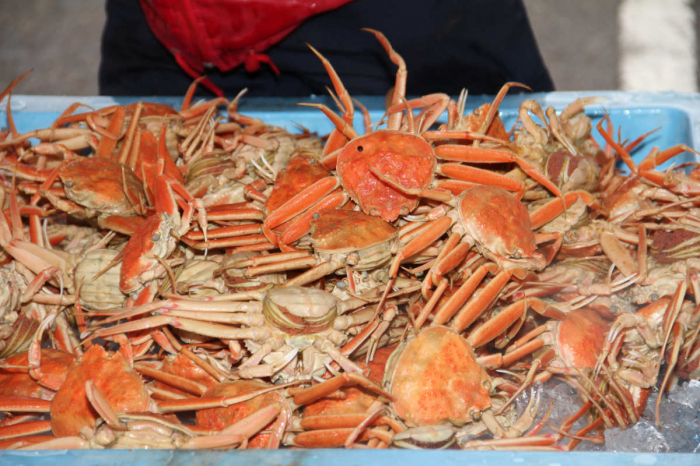 松葉カニを色んな食べ方で楽しめる！浜坂漁港「第37回浜坂みなとカニ祭り」 新温泉町 - Yahoo! JAPAN